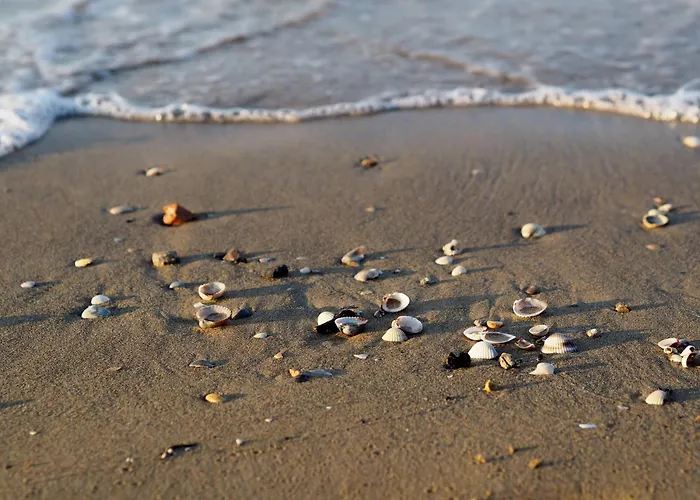 Welcoming With Balcony Near The *